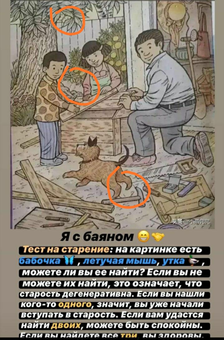 Тест на старение мозга картинки с ответами