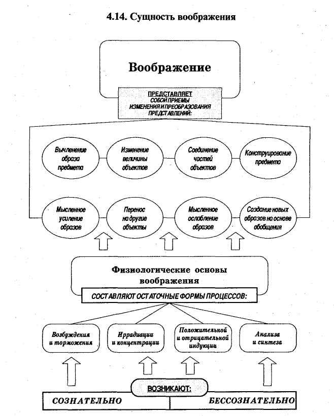 Физиологические основы воображения презентация