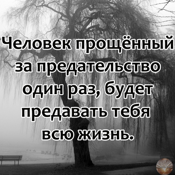 Человек предавший один раз предаст и второй картинки