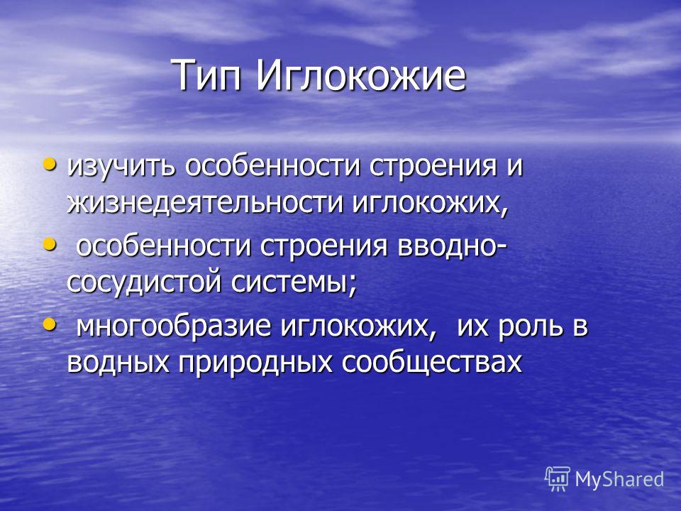 За счет других. Образы природы в творчестве музыкантов. Пневмония диетотерапия. Образы природы в творчестве музыкантов 5 класс. Жизнедеятельность иглокожих.