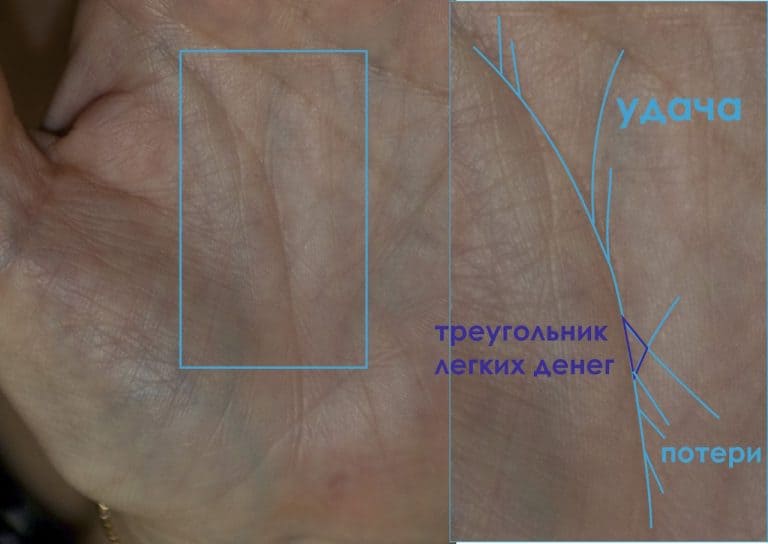 Хиромантия: значение формы руки | гадание по ладони