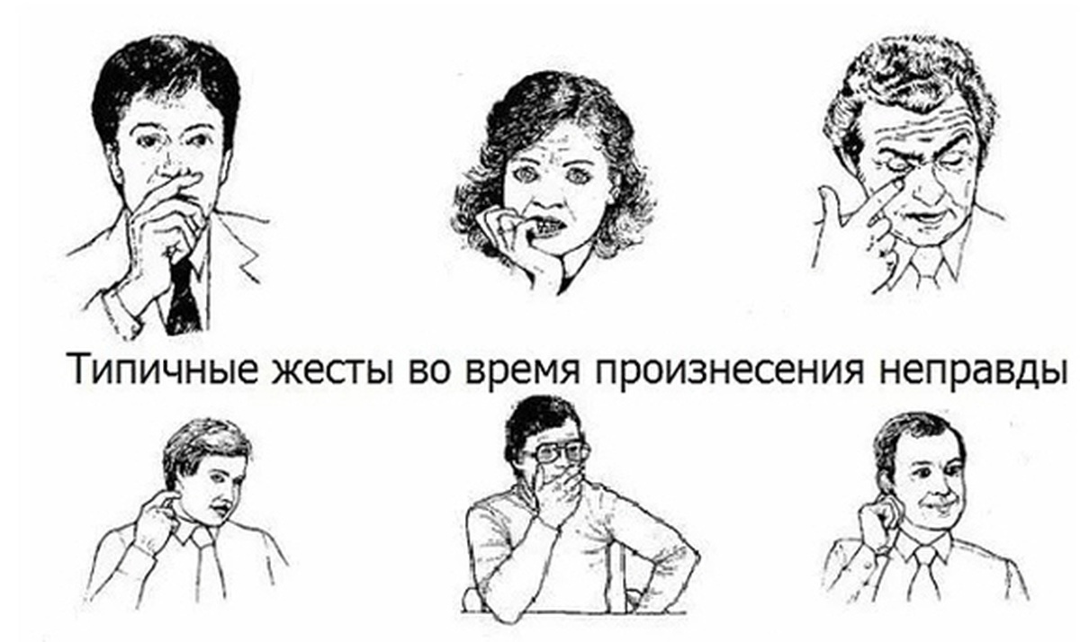 Правильные черты лица у женщин - что считается идеальными красивыми чертами?