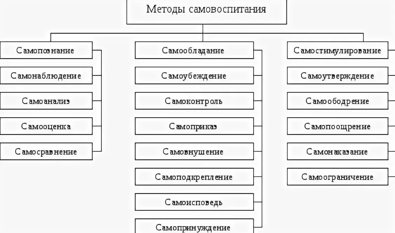 Разработка программы и личного плана самовоспитания реферат 6 класс