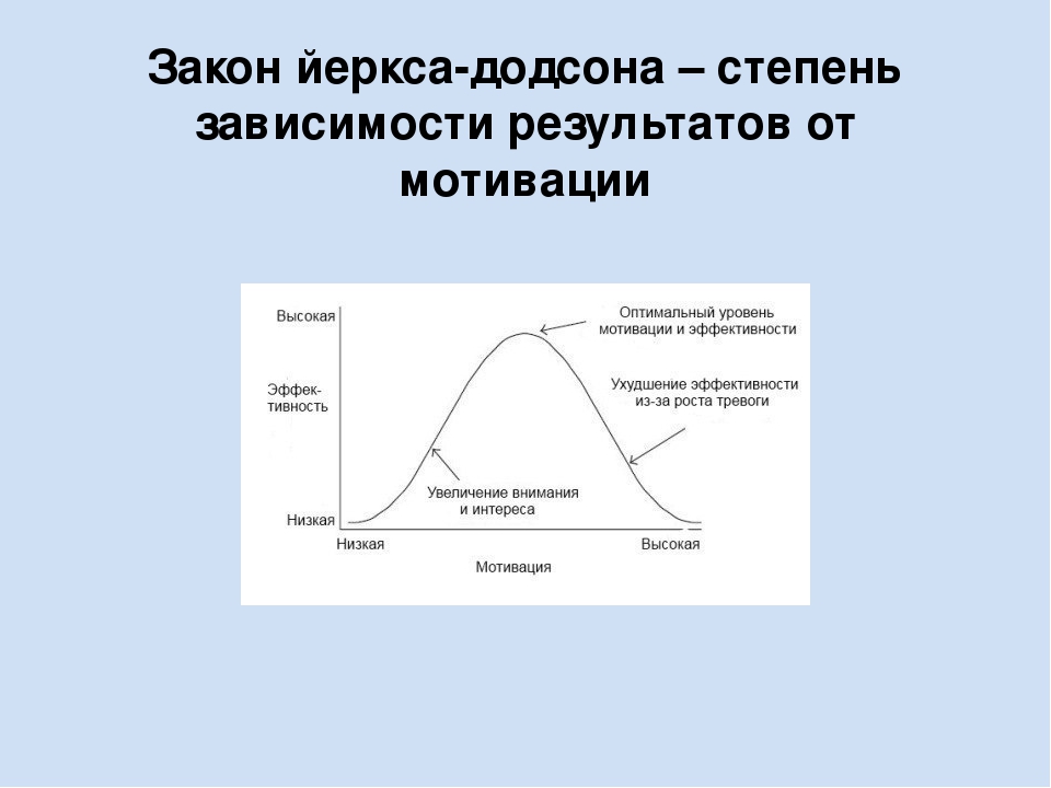 Закон оптимума мотивации йеркса-додсона