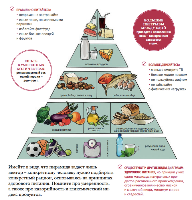 Выбери все мифы о правильном питании. Пирамида правильного питания. Рацион здорового питания. Принципы здорового питания. Рацион правильного питания пирамида.