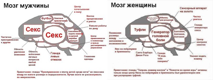 Совсем не смешно