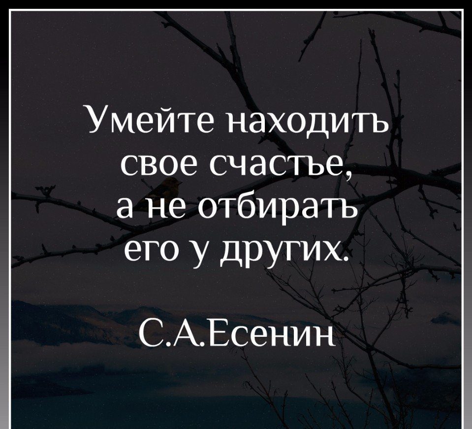 Цитаты стива джобса: лучшие высказывания о жизни, работе, успехе и смысле жизни