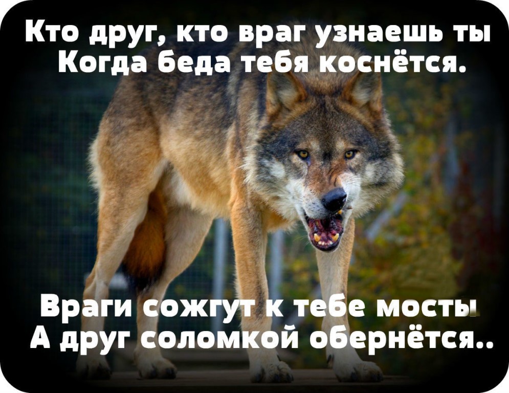 Неужели я, неосознанно, копирую поведение своей матери? 3 совета психологов, консультации