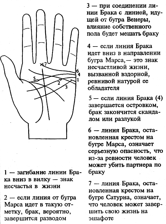 Хиромантия знаки на руке и их значение с картинками