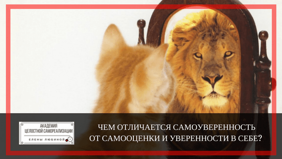 Самоуверенность самоуверенности цитата из 5. Афоризмы о самоуверенности. Самоуверенность мужчины цитаты. Чем отличается самоуверенность от уверенности. Самоуверенность и уверенность в себе.