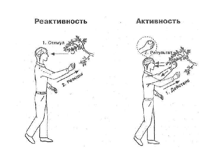 Реактивность человека