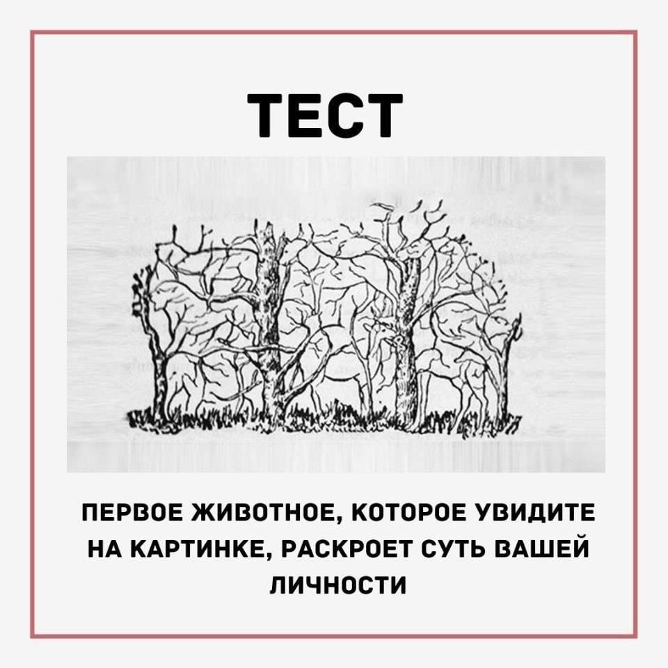 Первое что вы увидите на этой картинке расскажет что сейчас происходит в вашей жизни