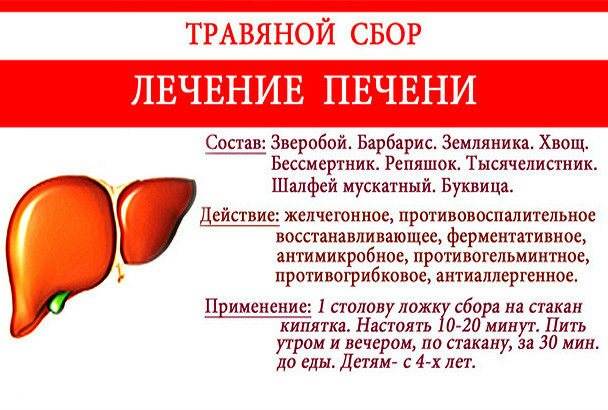 О медитации Игоря Андреева для исцеления почек, восстановления обмена веществ и общего оздоровления организма Как проходит программа лечения звуком, возможные сложности, плюсы, минусы, отзывы, аналоги