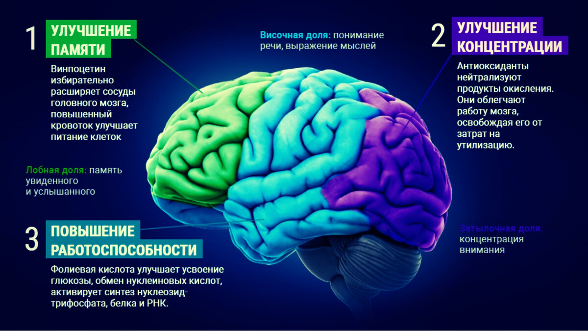 Развития способностей мозга. Улучшить память и работу мозга. Для улучшения памяти и работы. Для улучшения памяти и работы мозга. Мозг улучшение памяти.