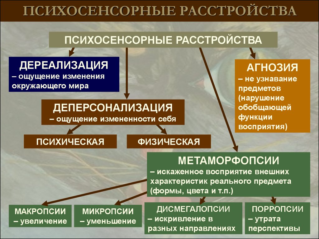 Реальные физические признаки того, что кто-то думает о вас