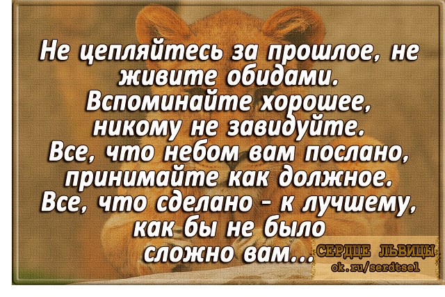Как простить обиду на близкого человека и отпустить боль