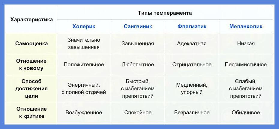 Экстраверт: кто это, основные характеристики, признаки, типы, тест, выбор профессии