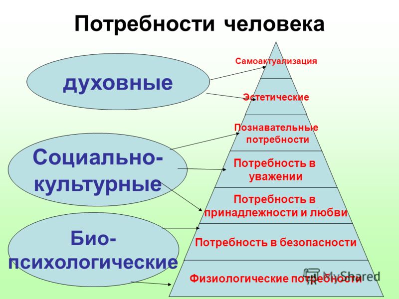 Читать онлайн книгу Тусовка решает все. Секреты вхождения в профессиональные соо