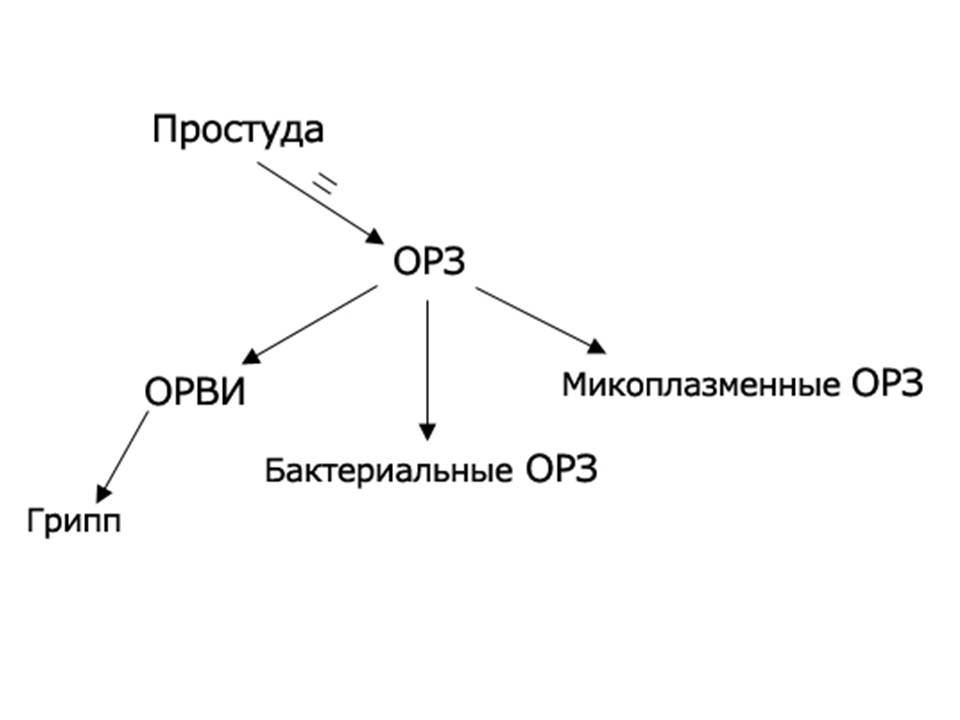 Схема орви корнилова