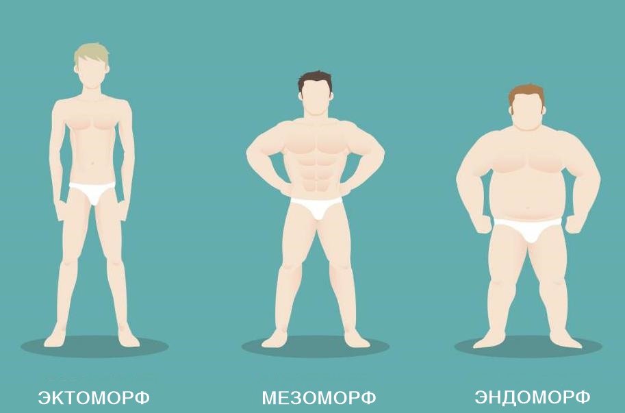 Нормостеническое телосложение: внешние признаки и характер, питание и тренировки для нормостеника