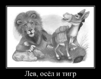 Пословицы и поговорки о мудрости и глупости