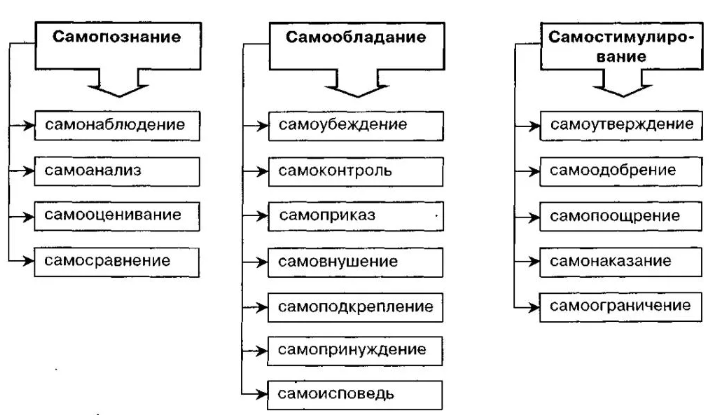 План самовоспитания пример