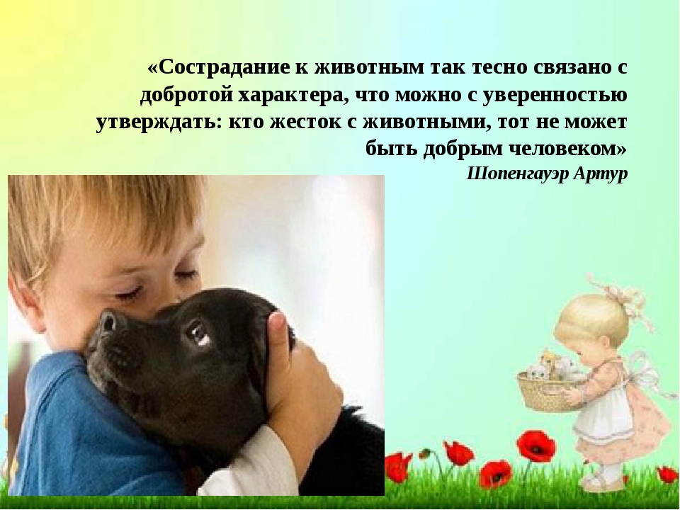 Какое животное соответствует вашему характеру по знаку зодиака