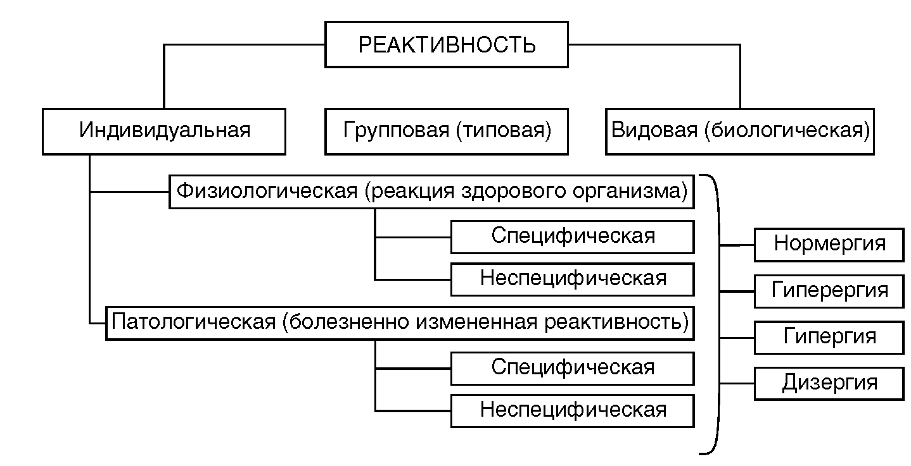 Уровни реактивности. Виды и формы реактивности. Виды и формы реактивности и резистентности организма. Классификация реактивности патофизиология. Виды индивидуальной реактивности.