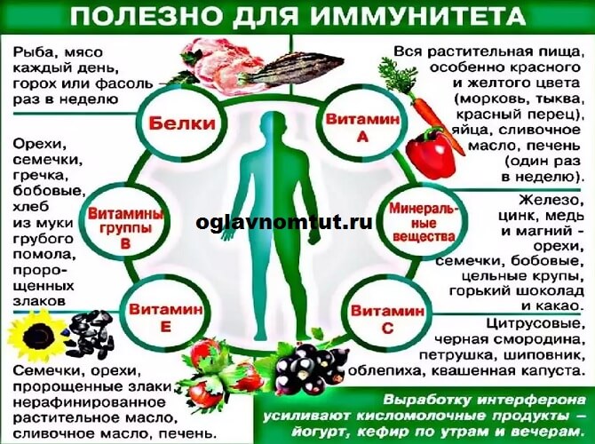 Природа и лес - как помогатают организму и укрепляют иммунитет