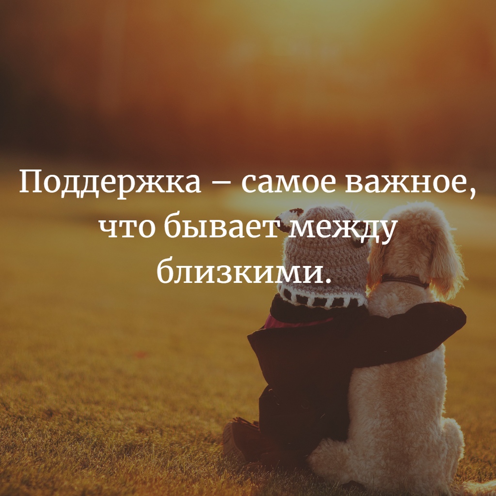 Что такое дружба? законы дружбы | блог 4brain