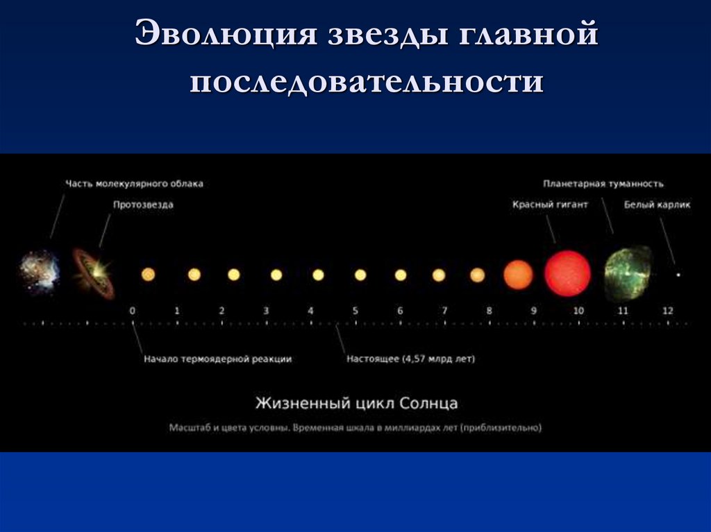 На рисунке представлены этапы жизненного цикла звезд средней массы типа солнца и массивных звезд