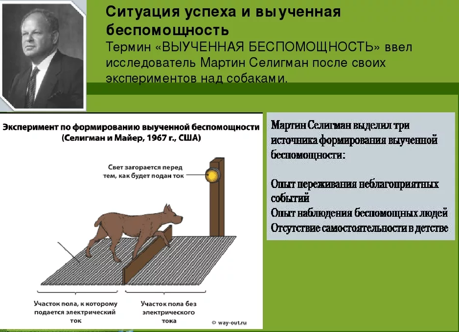 Выученная беспомощность картинка