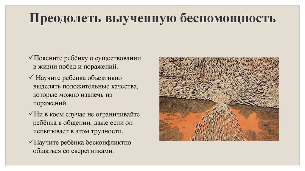Феномен выученной беспомощности: как избавиться, определение симптома в психологии Причины синдрома выученной беспомощности